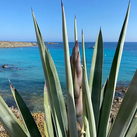 Holiday home Ocean View- Casa Freya Con Vista Al Mar- Modernes Haus Mit Meerblick Und Dachterrasse *